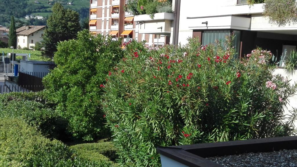 Camere Bolzano Da Glauco Exteriör bild